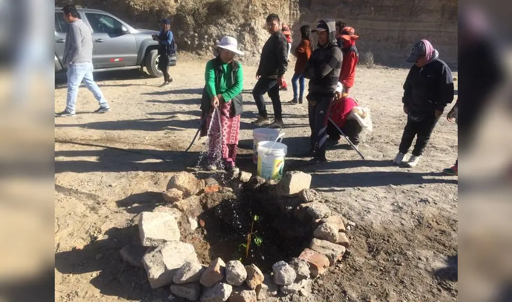 Vecinos del asentamiento Galaxia III y Juan Pablo XXII plantaron árboles en Miraflores, Arequipa.
