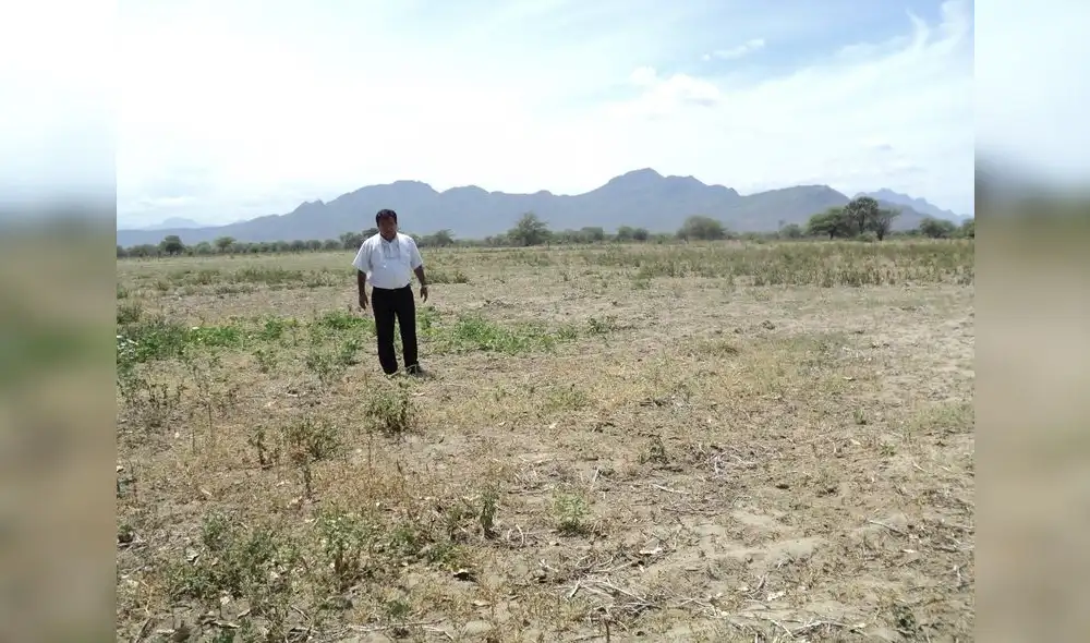 La Libertad: más de 7.000 agricultores afectados por falta de agua La Libertad: más de 7.000 agricultores afectados por falta de agua