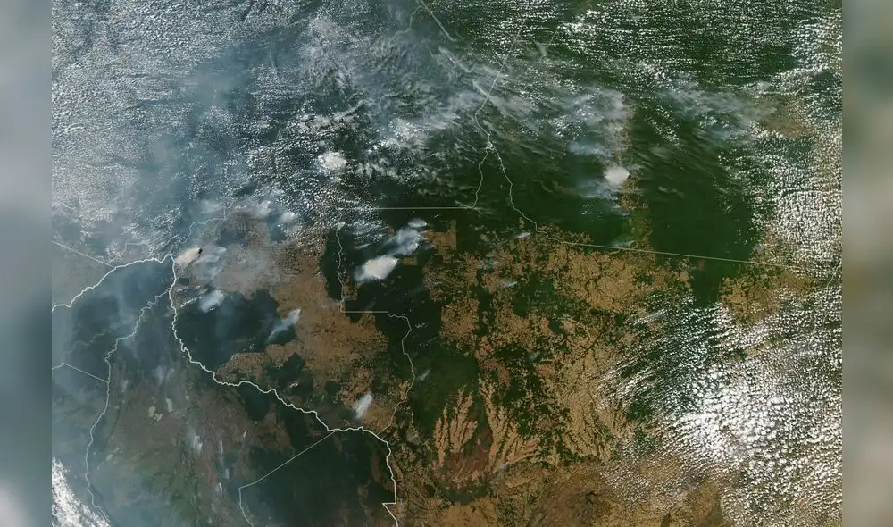 Los incendios podrían acelerar el calentamiento global y causar un daño duradero a la cuna de la biodiversidad, según científicos. Foto: AFP.