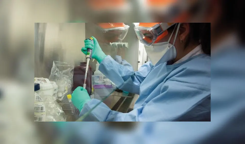 Pruebas coronavirus