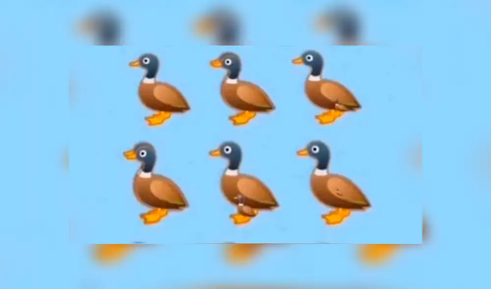 Desliza las imágenes hacia la izquierda para conocer la verdadera respuesta de este nuevo reto visual.