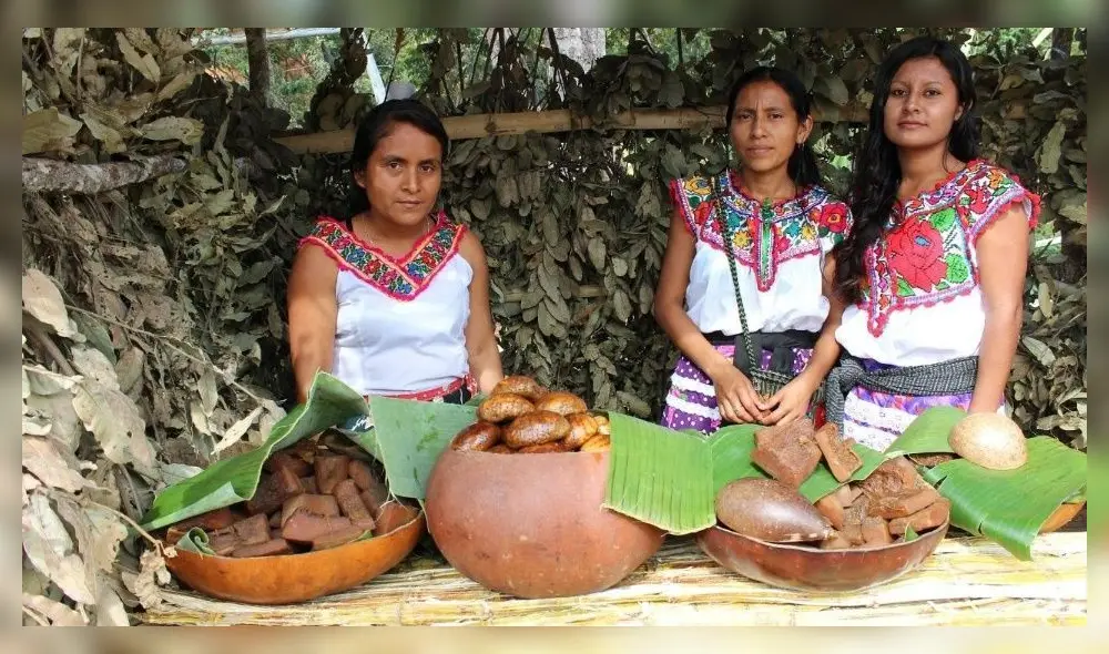 En febrero también se cumplen 64 años desde que se reconoció el derecho de las mujeres a votar en México. (Foto: Debate) En febrero también se cumplen 64 años desde que se reconoció el derecho de las mujeres a votar en México. (Foto: Debate)