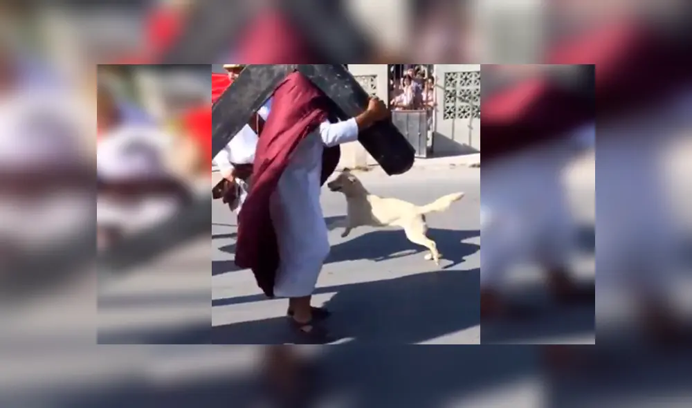 Facebook viral: perro 'creyente' ataca a 'soldados romanos' que azotaban a 'Jesús' [VIDEO]