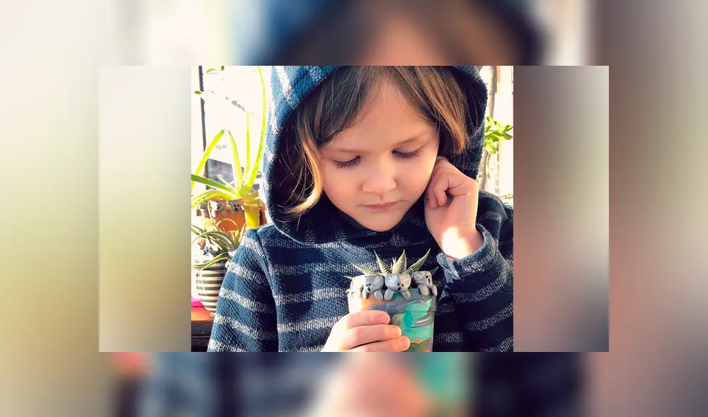 El pequeño amante de los animales quiso incentivar con sus figuras a que más personas donen dinero. (Captura: Instagram)