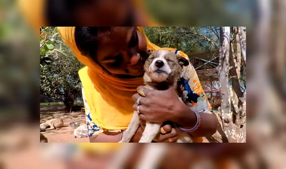 Desliza hacia la izquierda para ver el conmovedor hallazgo del perro que se hizo viral en YouTube. Desliza hacia la izquierda para ver el conmovedor hallazgo del perro que se hizo viral en YouTube.