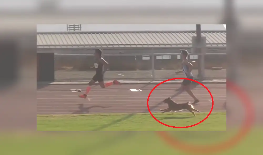 Facebook viral: perro ingresa a competencia de atletismos y humilla a todos los corredores [VIDEO]