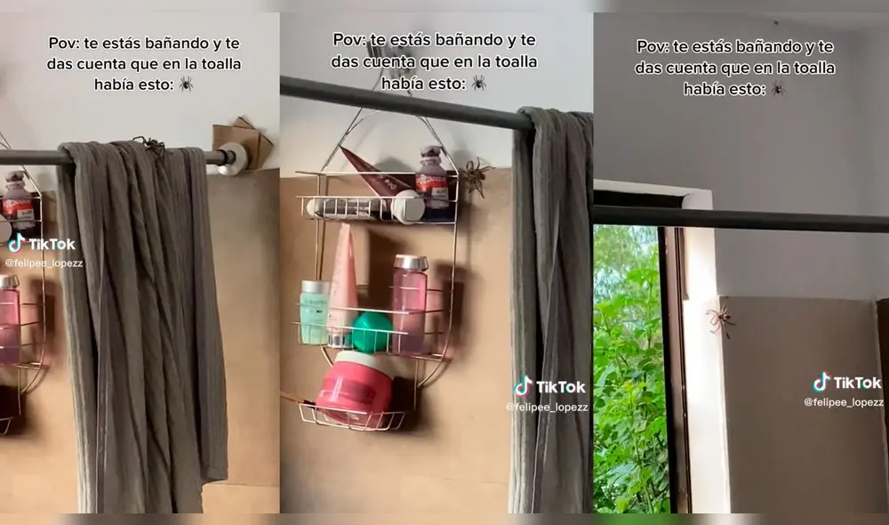 Joven queda en shock al encontrara una araña en el baño. Foto: composición LR/captura de TikTok/@felipee_lopezz Joven queda en shock al encontrara una araña en el baño. Foto: composición LR/captura de TikTok/@felipee_lopezz