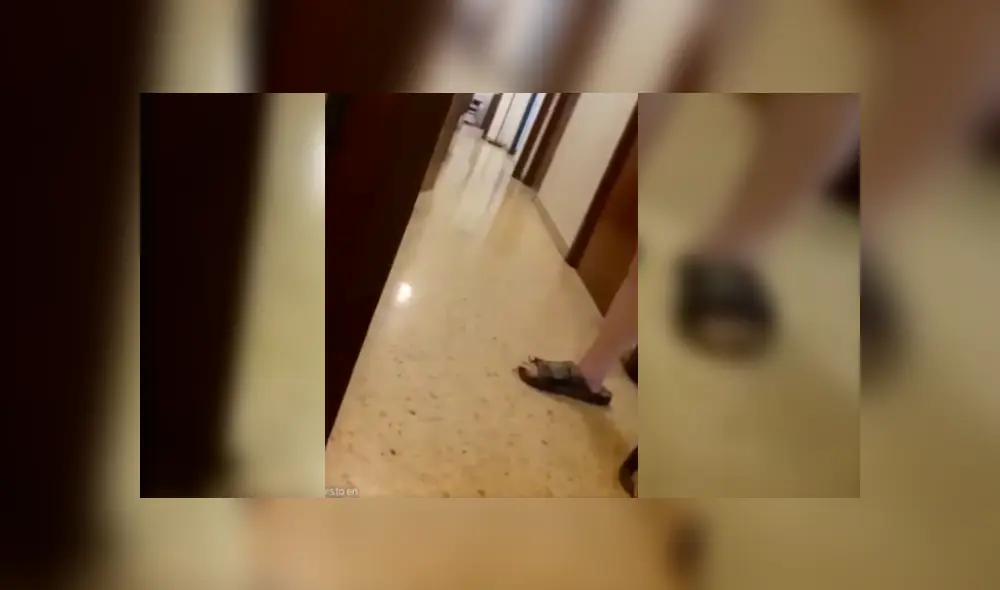 Video viral de Facebook muestra el aterrador momento en que un gasfitero descubre algo espeluznante en los pies de una cliente Video viral de Facebook muestra el aterrador momento en que un gasfitero descubre algo espeluznante en los pies de una cliente