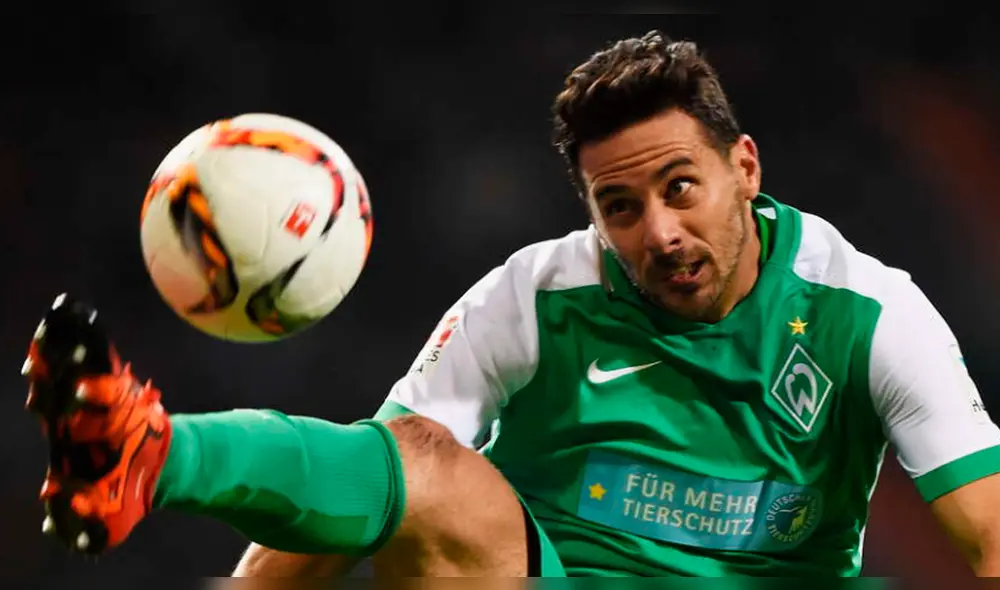 Claudio Pizarro: Anthony Ujah elogió al Bombardero de los Andes.