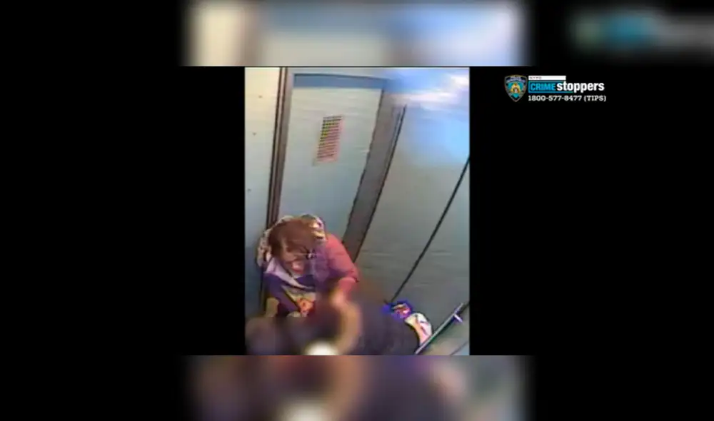 Ladrona ataca a mujer embarazada dentro del elevador para robarle el bolso [VIDEO]