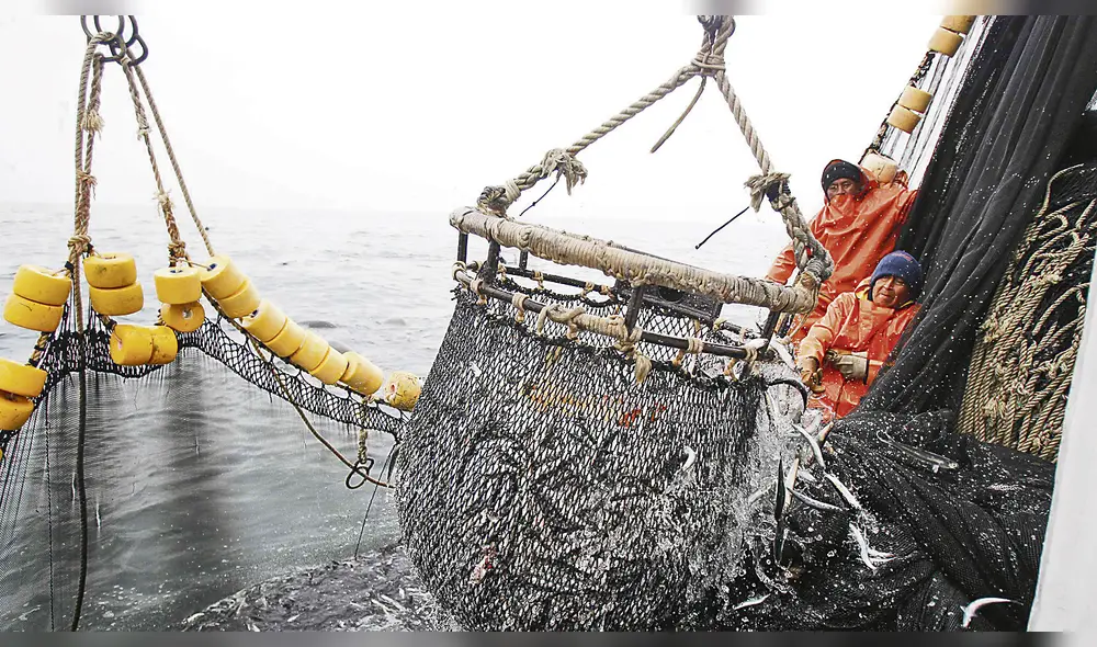 Produce pone fin a primera temporada de pesca de anchoveta en zona norte-centro