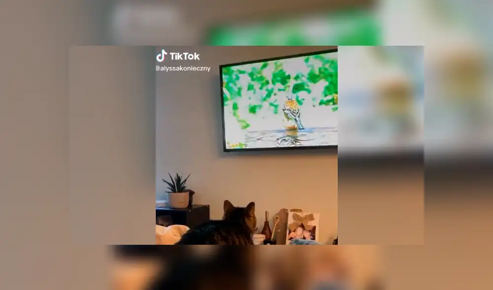 Desliza la imagen de Facebook para verlas todas.