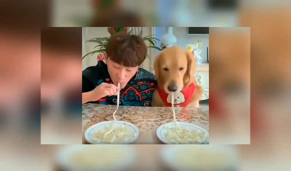 Desliza las imágenes para apreciar la competencia entre un joven y su perro al comer más rápido unos fideos. Foto: Captura. Desliza las imágenes para apreciar la competencia entre un joven y su perro al comer más rápido unos fideos. Foto: Captura.