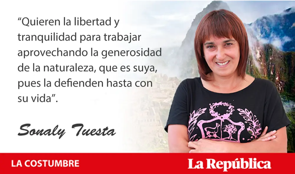 columnistas columnistas