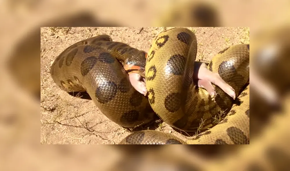 Desliza para ver los momentos más aterradores del video que se hizo viral en YouTube. Desliza para ver los momentos más aterradores del video que se hizo viral en YouTube.