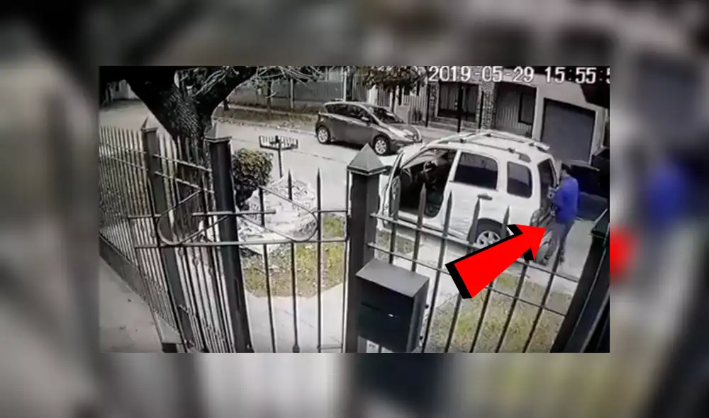 YouTube viral: Perros ven que su dueño es asaltado con pistola y lo rescatan valerosamente [VIDEO] 