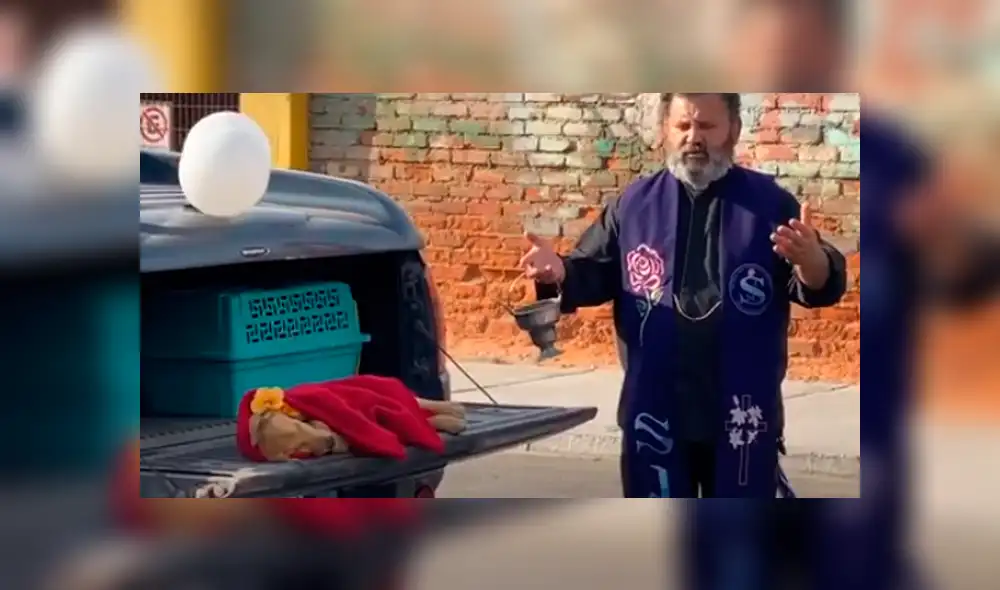 “Weichafe”, un cachorro de seis meses que murió tras ser encontrado con brutales signos de abuso sexual. Foto: Captura / Aricaldi Noticias