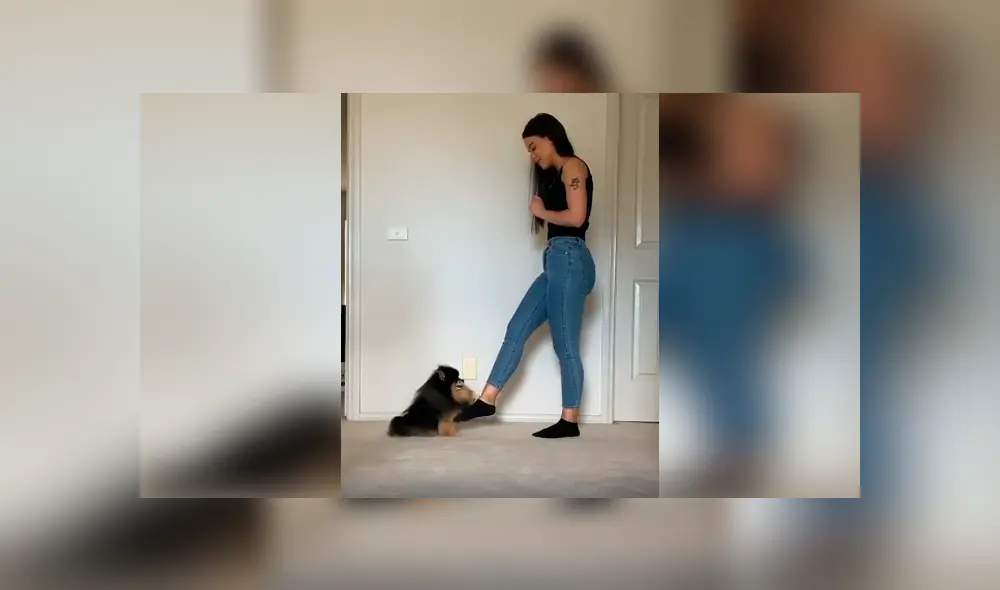 Desliza las imágenes hacia la izquierda para apreciar la divertida coreografía que realizó un perro con su dueña. Desliza las imágenes hacia la izquierda para apreciar la divertida coreografía que realizó un perro con su dueña.