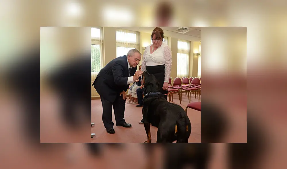 Perro testigo de la boda de sus dueños ‘se opone’ en plena ceremonia [VIDEO]