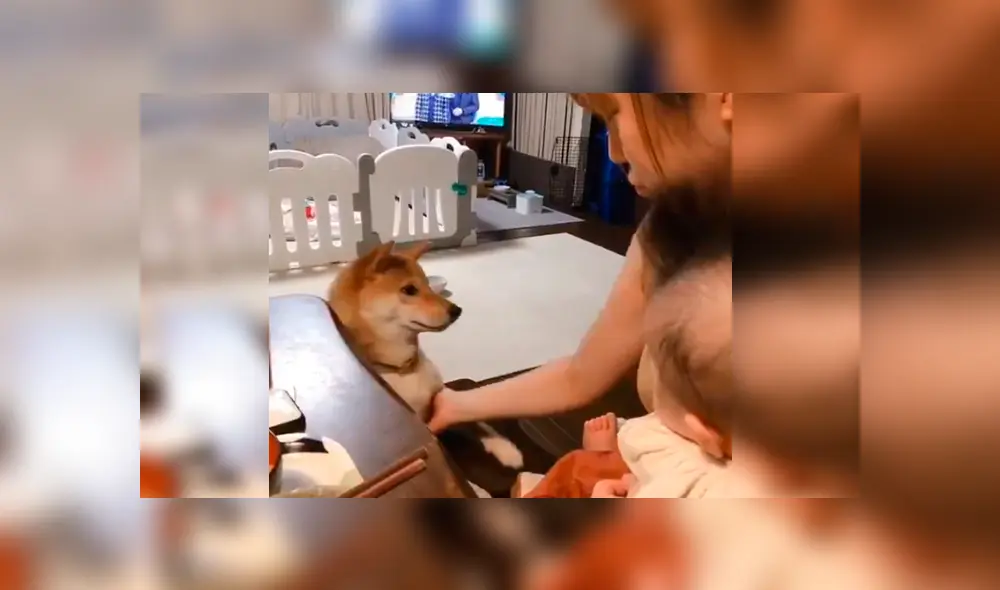 Vía YouTube. Mujer intentaba darle de comer a su bebé, pero su mascota se lo impedía con un peculiar comportamiento para buscar su atención