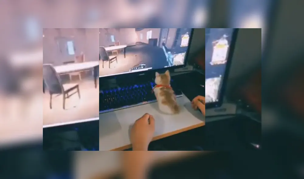 Desliza hacia la izquierda para ver más del video viral Desliza hacia la izquierda para ver más del video viral