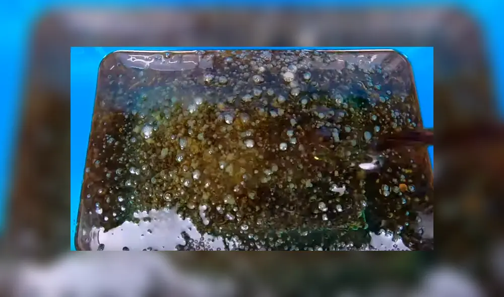 Desliza para saber qué ocurrió con el experimento publicado en Facebook. Foto: captura