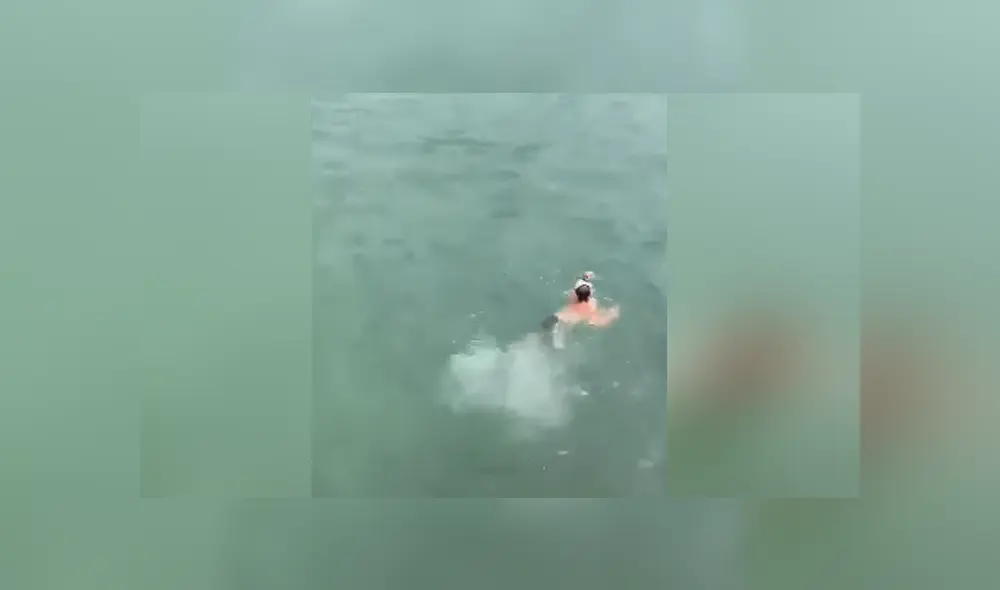 A través de YouTube se hizo viral el momento en que un joven se lanza a un río para salvar a un perro.