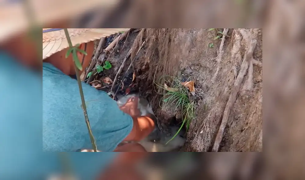 YouTube viral: 'Misteriosas criaturas' emergen de hoyo que descubrió joven [VIDEO]