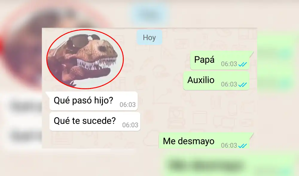 WhatsApp: La sorprendente reacción de un padre ante el "Cállese viejo lesbiano" de su hijo [FOTOS]
