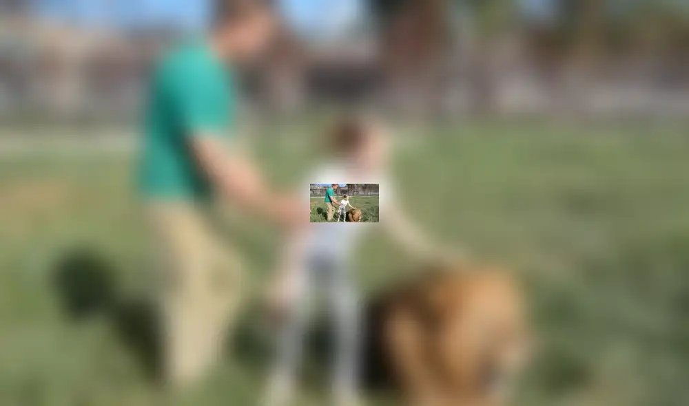 YouTube viral: Niña entra a calabozo de leones y la reacción de estos deja impactados a todos [VIDEO]