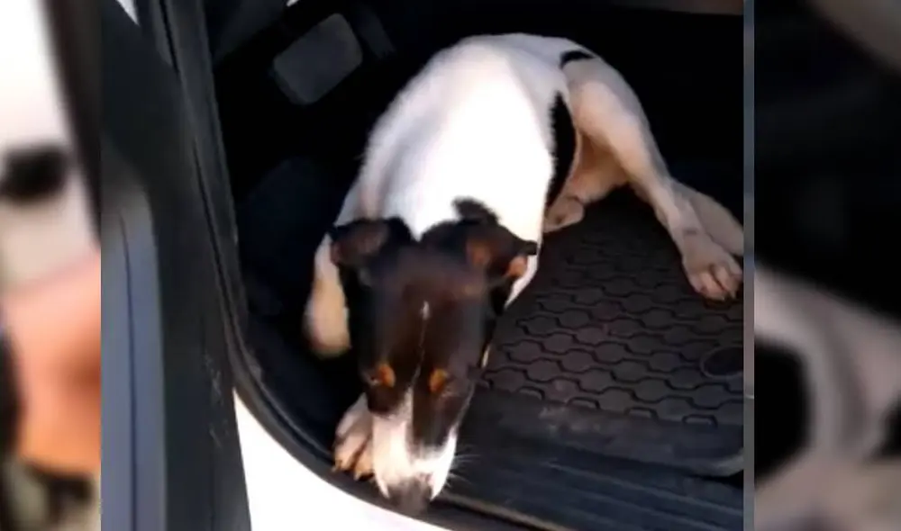 Desliza para ver el desenlace de la historia de Facebook. Foto: Polícia Militar Rodoviária de Santa Catarina