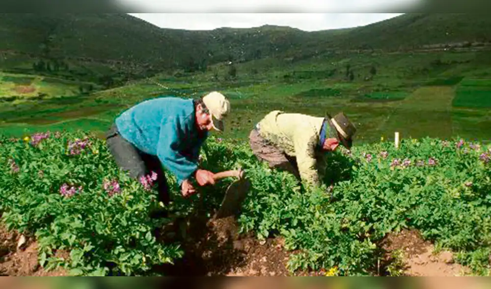 Sector agropecuario avanzó en 4,3% en el primer bimestre de este año