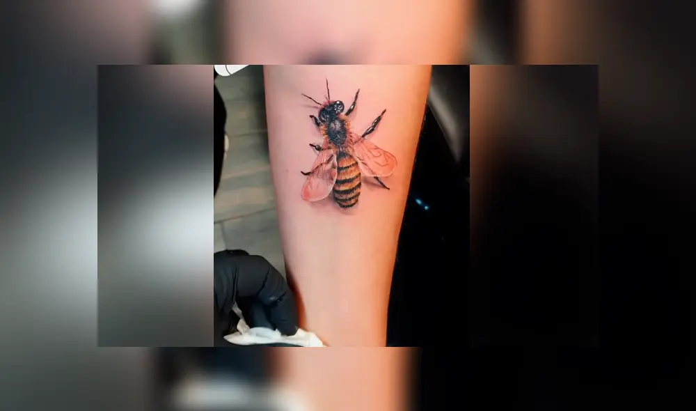 Desliza para ver las imágenes más impactantes del video que se hizo viral en YouTube. Desliza para ver las imágenes más impactantes del video que se hizo viral en YouTube.