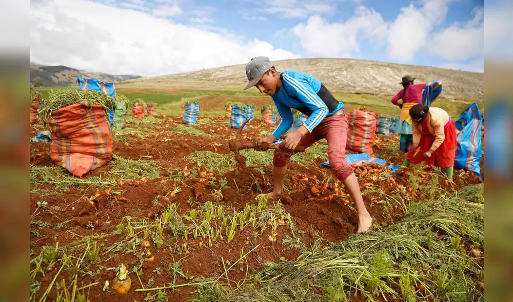 CUT al presidente del BCR: El señor Velardedebe vivir con el sueldo mínimo vital