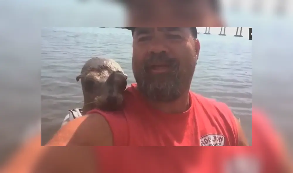 Pescador fue sorprendido por adorable animal marino que no quiso despejarse de él.