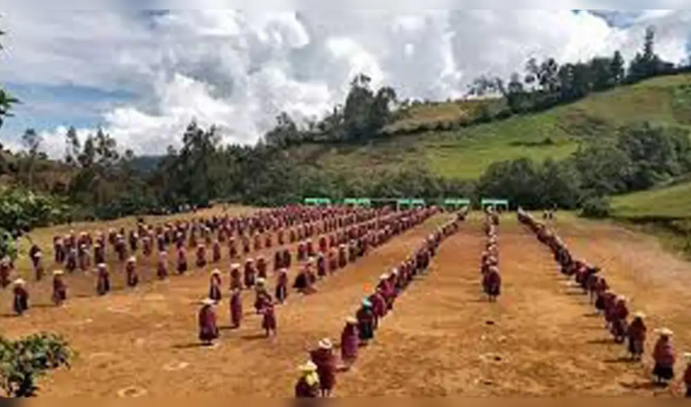 el bajo índice de casos se debe al trabajo de las rondas campesinas en el control de las fronteras. el bajo índice de casos se debe al trabajo de las rondas campesinas en el control de las fronteras.