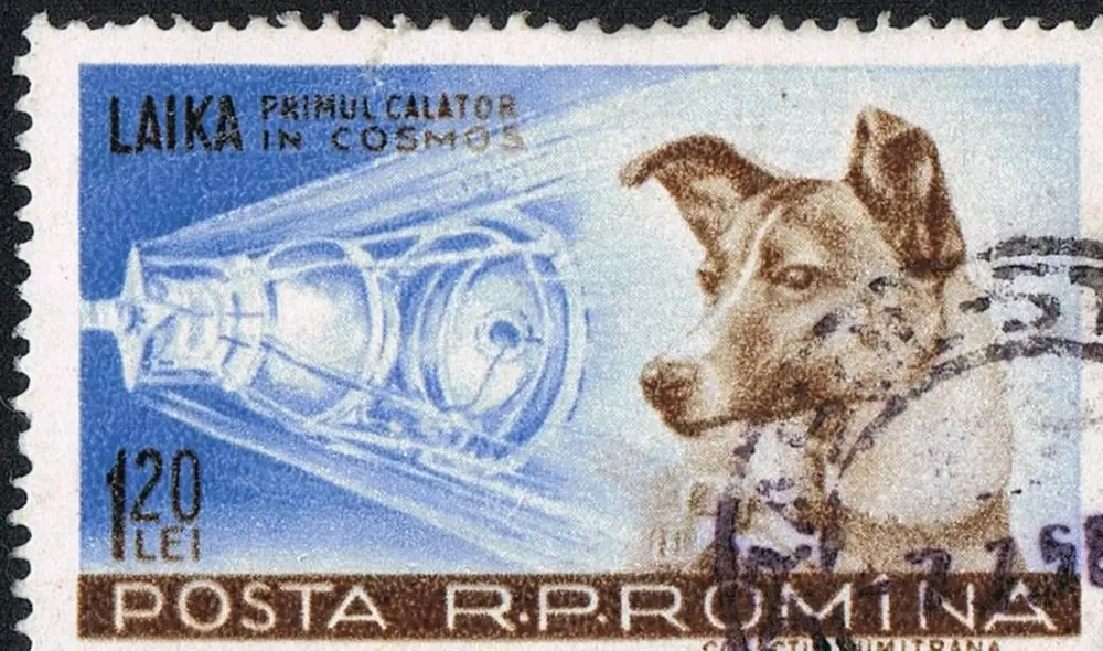 Laika se convirtió en el primer ser vivo en viajar al espacio. Foto: Captura/Experto Animal/YouTube