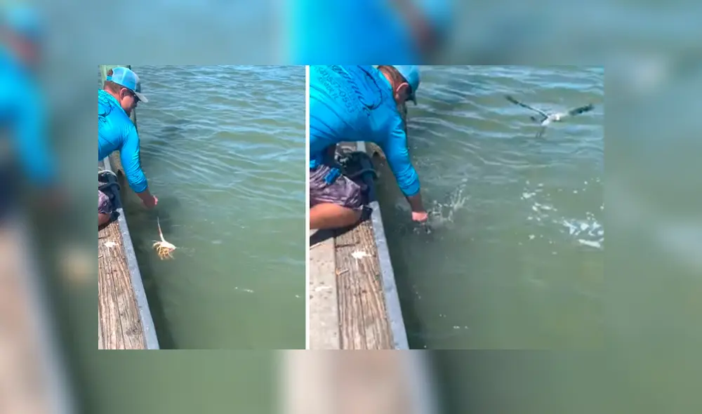 El video viral de Facebook registró el momento en que un tiburón emergió del mar para atacar a un pescador. El video viral de Facebook registró el momento en que un tiburón emergió del mar para atacar a un pescador.