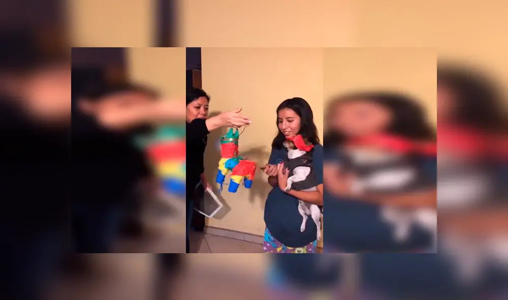 En YouTube, una joven organizó una fiesta en su casa para festejar el día especial de su querida mascota. En YouTube, una joven organizó una fiesta en su casa para festejar el día especial de su querida mascota.