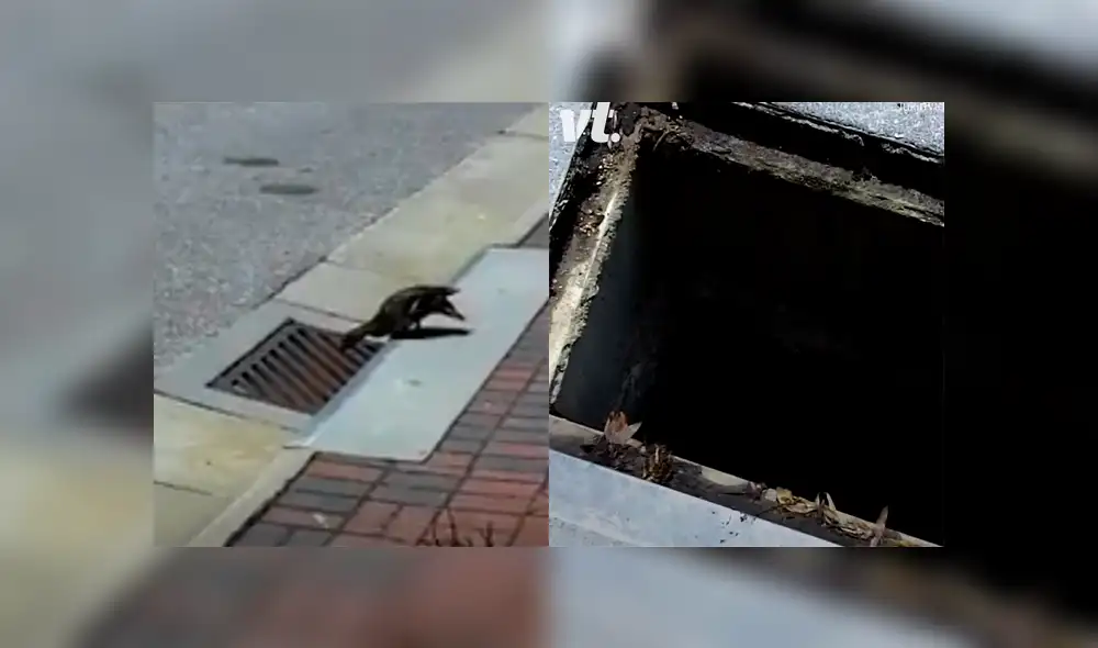 Desliza para ver los momento más impactantes del conmovedor video que se hizo viral en Facebook. Desliza para ver los momento más impactantes del conmovedor video que se hizo viral en Facebook.