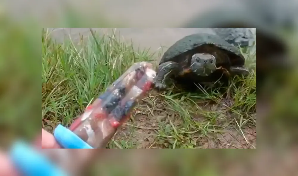 Desliza a la izquierda para ver este nuevo viral de YouTube. Foto: Captura.