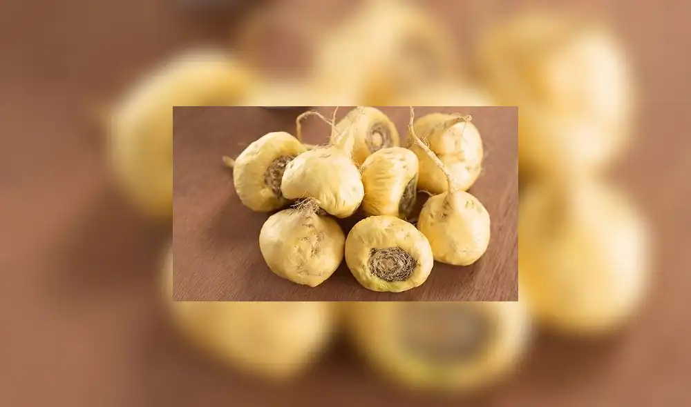 Alertan que empresa en EE.UU. y una universidad en China quisieron patentar productos que contenían la maca peruana