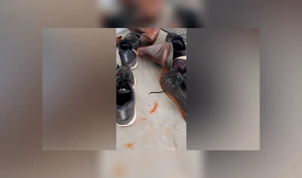 Desliza hacia la izquierda para ver a la serpiente que ha causado gran conmoción en Facebook.