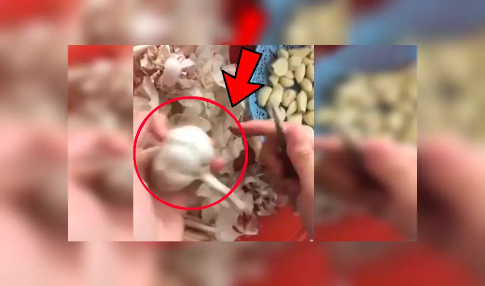 Usuaria difundió un ingenioso truco que muestra cómo pelar los ajos de forma sencilla y rápida sin que las manos te queden olorosas Usuaria difundió un ingenioso truco que muestra cómo pelar los ajos de forma sencilla y rápida sin que las manos te queden olorosas