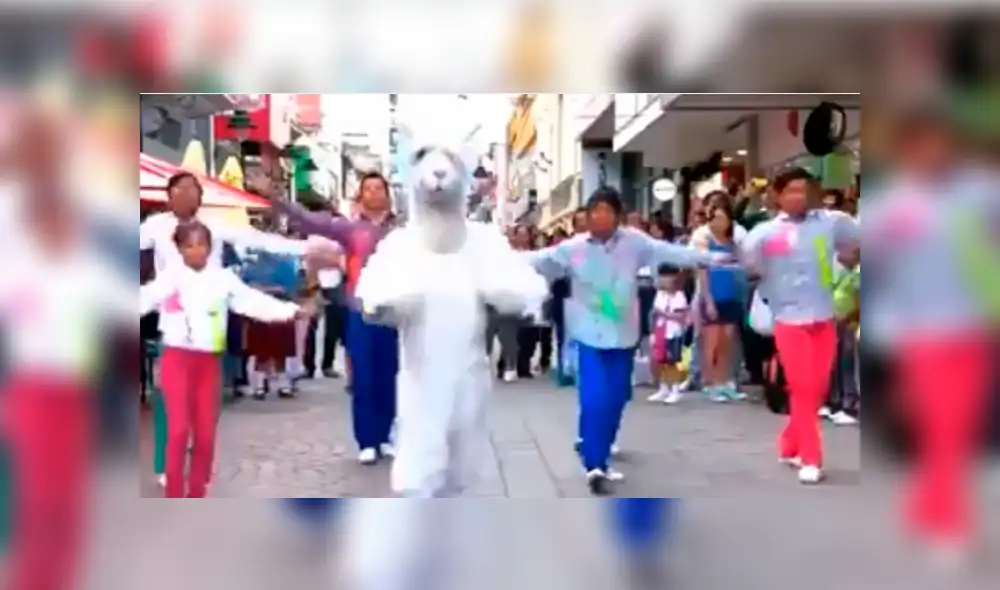Vía Facebook: la verdad del "baile de la llama", el tema que remece internet