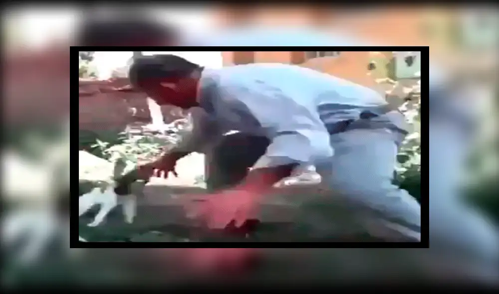 Facebook: halla un ave lastimada y cuando le ayuda a volar aparece insólita criatura y sucede lo peor [VIDEO]