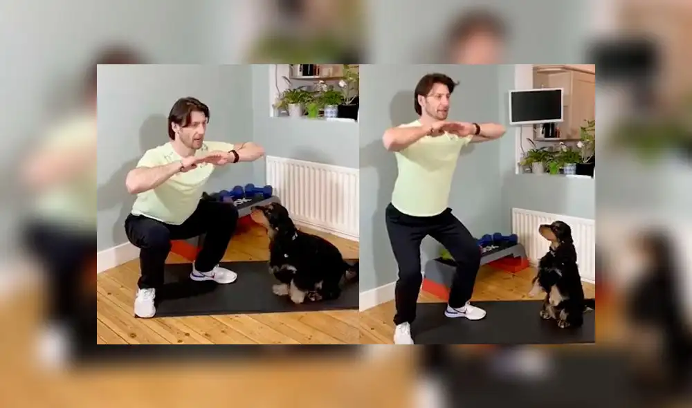 Desliza las imágenes para ver la increíble escena que protagonizó un travieso perro al ver que su dueño transmitía una clase de gimnasia. Foto: Craters Clips Desliza las imágenes para ver la increíble escena que protagonizó un travieso perro al ver que su dueño transmitía una clase de gimnasia. Foto: Craters Clips