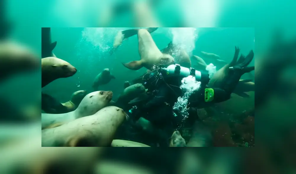 Desliza para ver los momentos más impactantes de este encuentro que se hizo viral en Facebook.