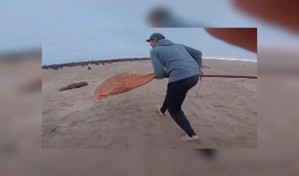 El hombre y su hijo salvaron de la muerte a un lobo marino, que tenía enredados desperdicios en su cuerpo. Foto: captura. El hombre y su hijo salvaron de la muerte a un lobo marino, que tenía enredados desperdicios en su cuerpo. Foto: captura.