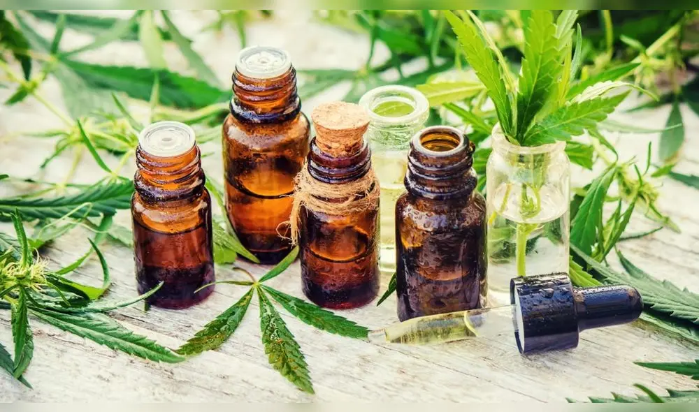 Cannabis medicinal fue aprobado en Francia. Cannabis medicinal fue aprobado en Francia.